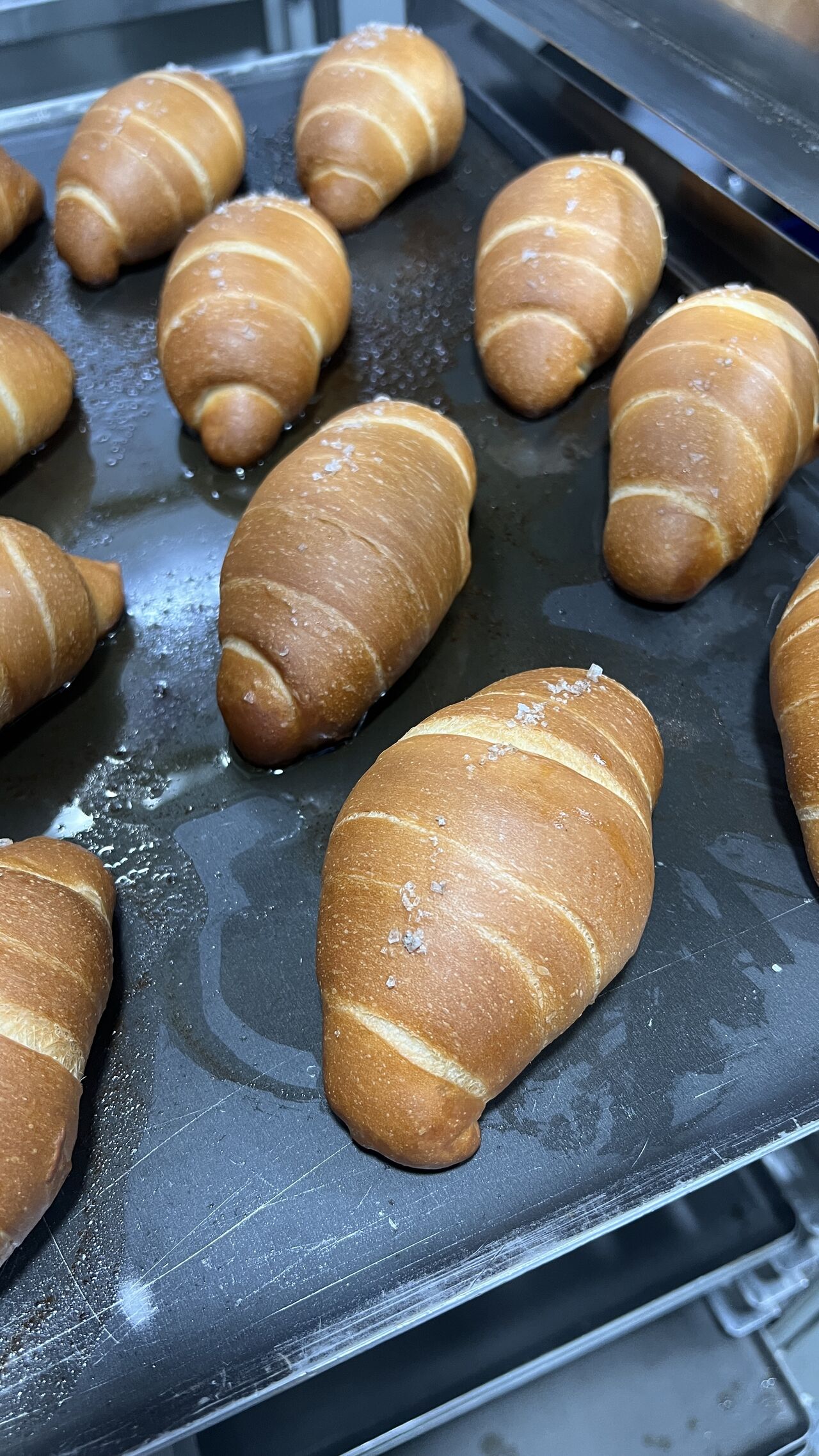 Tray of glossy salt-topped shiopan rolls